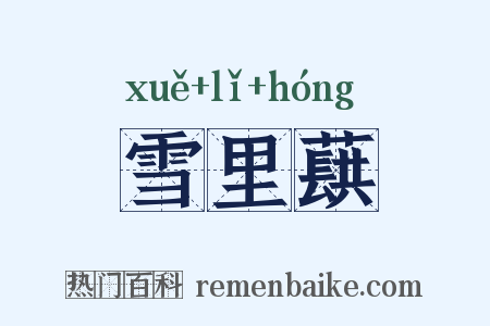 雪里蕻是什么意思的图片